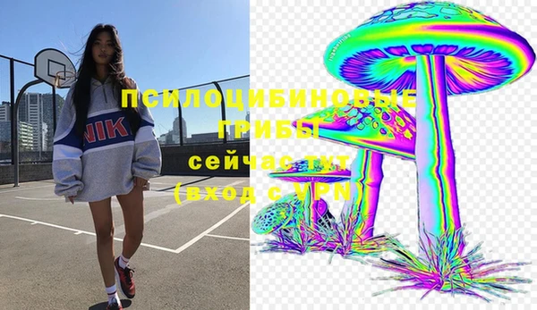 амф Дмитров