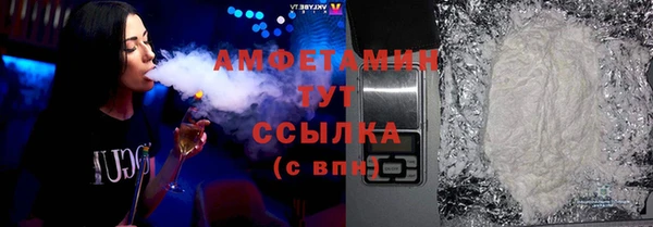 ПСИЛОЦИБИНОВЫЕ ГРИБЫ Щучье
