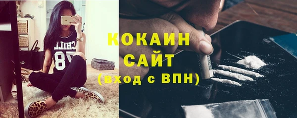 ешки Дмитриев