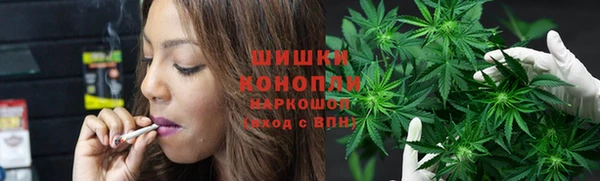 ешки Дмитриев