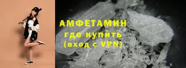 амф Дмитров