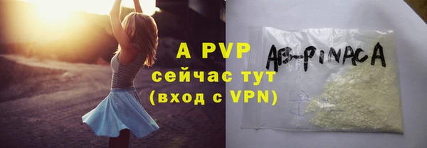 ешки Новодвинск