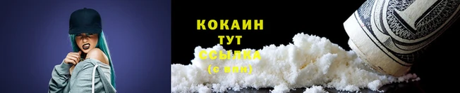 ешки Дмитриев