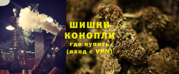 амф Дмитров